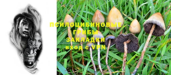 ГАЛЛЮЦИНОГЕННЫЕ ГРИБЫ Абаза