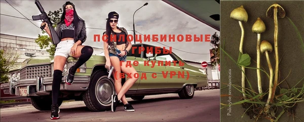 ГАЛЛЮЦИНОГЕННЫЕ ГРИБЫ Абаза