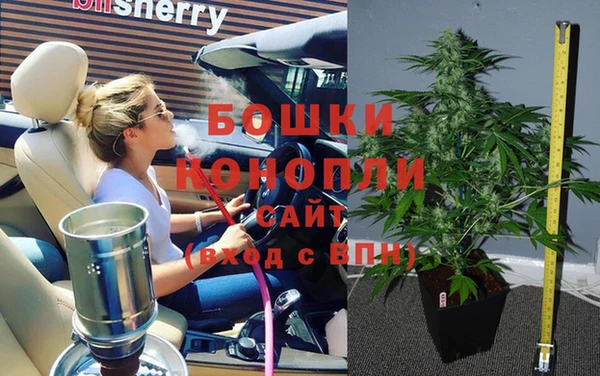 ГАЛЛЮЦИНОГЕННЫЕ ГРИБЫ Абаза