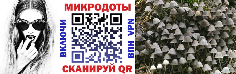 где продают наркотики Рязань мориарти какой сайт Галлюциногенные грибы Cubensis omg ссылка